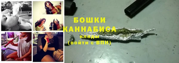 гидра Белокуриха