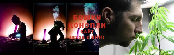 гидра Белокуриха