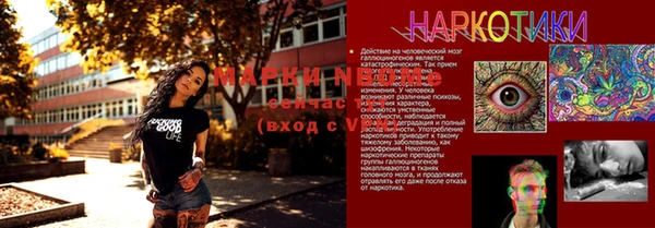 амф Балахна